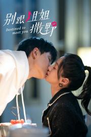 Destined to Meet You เดสทินี รักนี้พี่ขอ (พากย์ไทย)