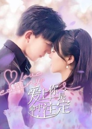 Love Destiny (2022) ซับไทย