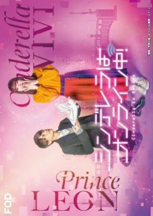 Cinderella Is Online เมื่อเราออนไลน์มารักกัน (พากย์ไทย)